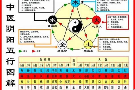 海中金命 屋上之鼠|八字纳音五行详解——海中金命